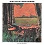 Fiyo on the Bayou Neville Brothers